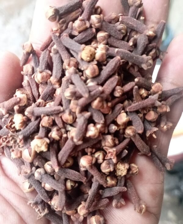 Dried Cloves 1 Kgs