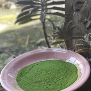 Moringa powder 1 Kgs